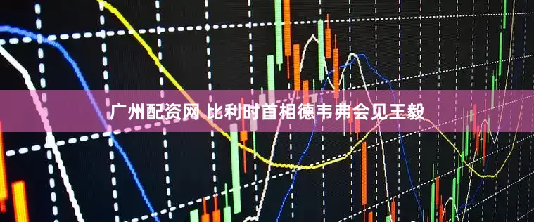 广州配资网 比利时首相德韦弗会见王毅