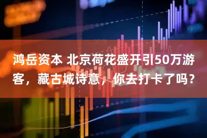 鸿岳资本 北京荷花盛开引50万游客，藏古城诗意，你去打卡了吗？