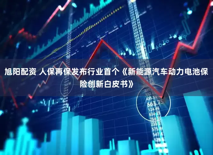 旭阳配资 人保再保发布行业首个《新能源汽车动力电池保险创新白皮书》