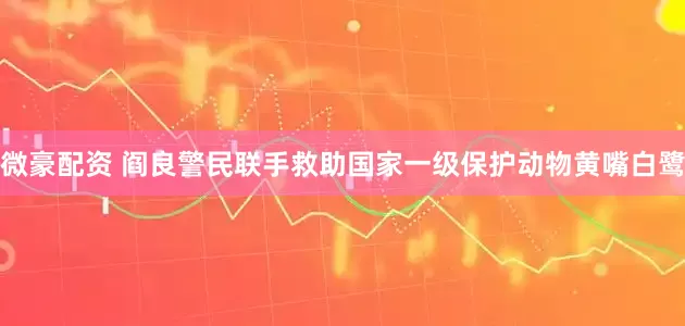 微豪配资 阎良警民联手救助国家一级保护动物黄嘴白鹭